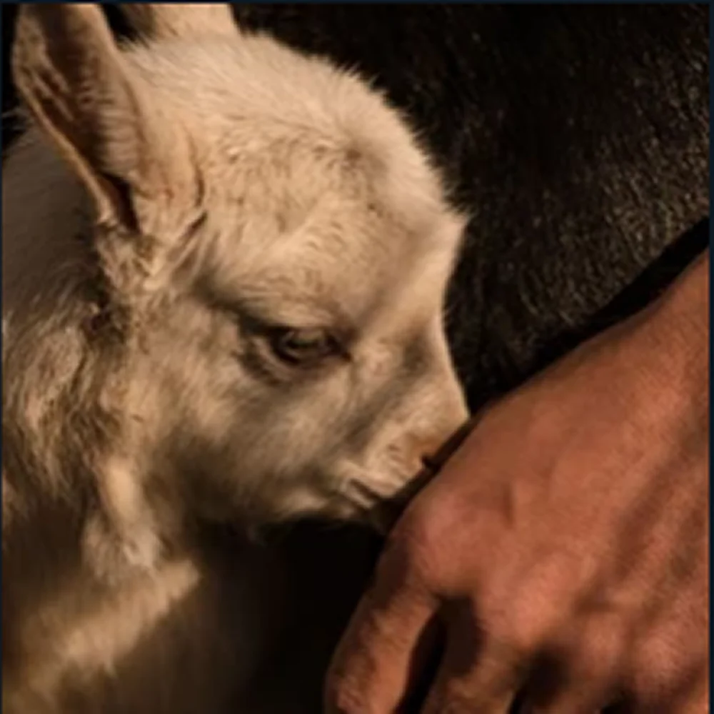 ENCOUNTERING JESUS IN A SECULAR WORLD