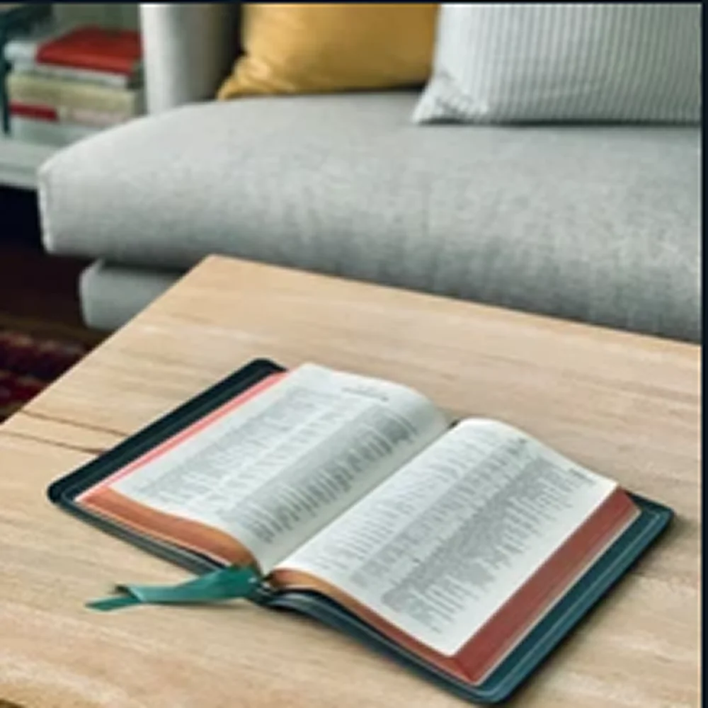 ENCOUNTERING JESUS IN A SECULAR WORLD