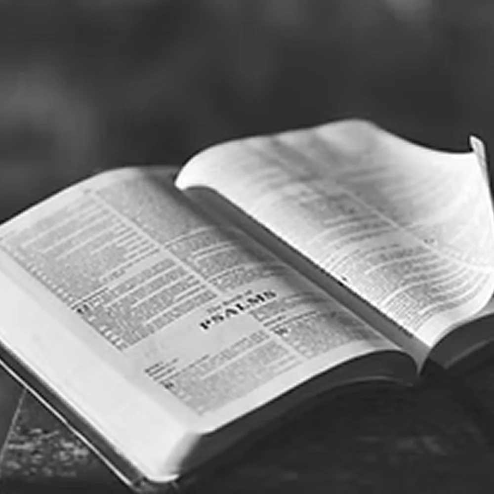 THRILLS WITH PURPOSE