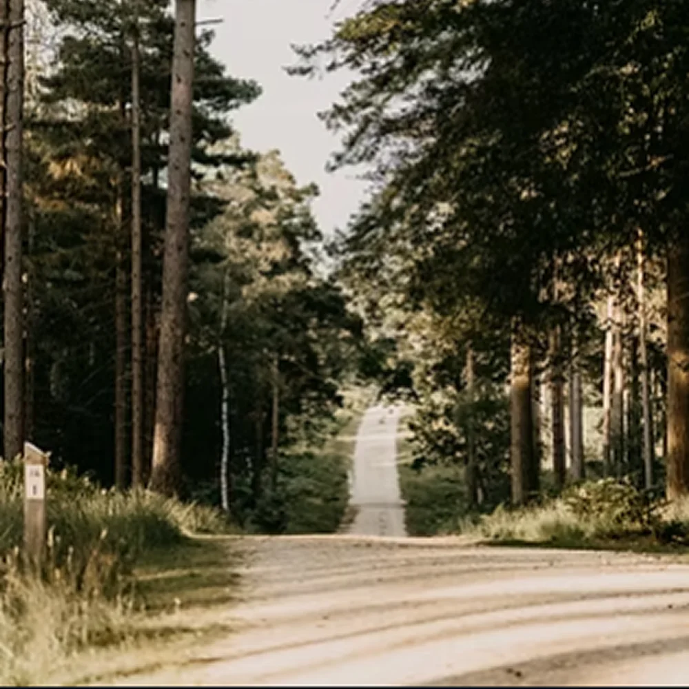 CHASING DONKEYS, DISCOVERING DESTINY