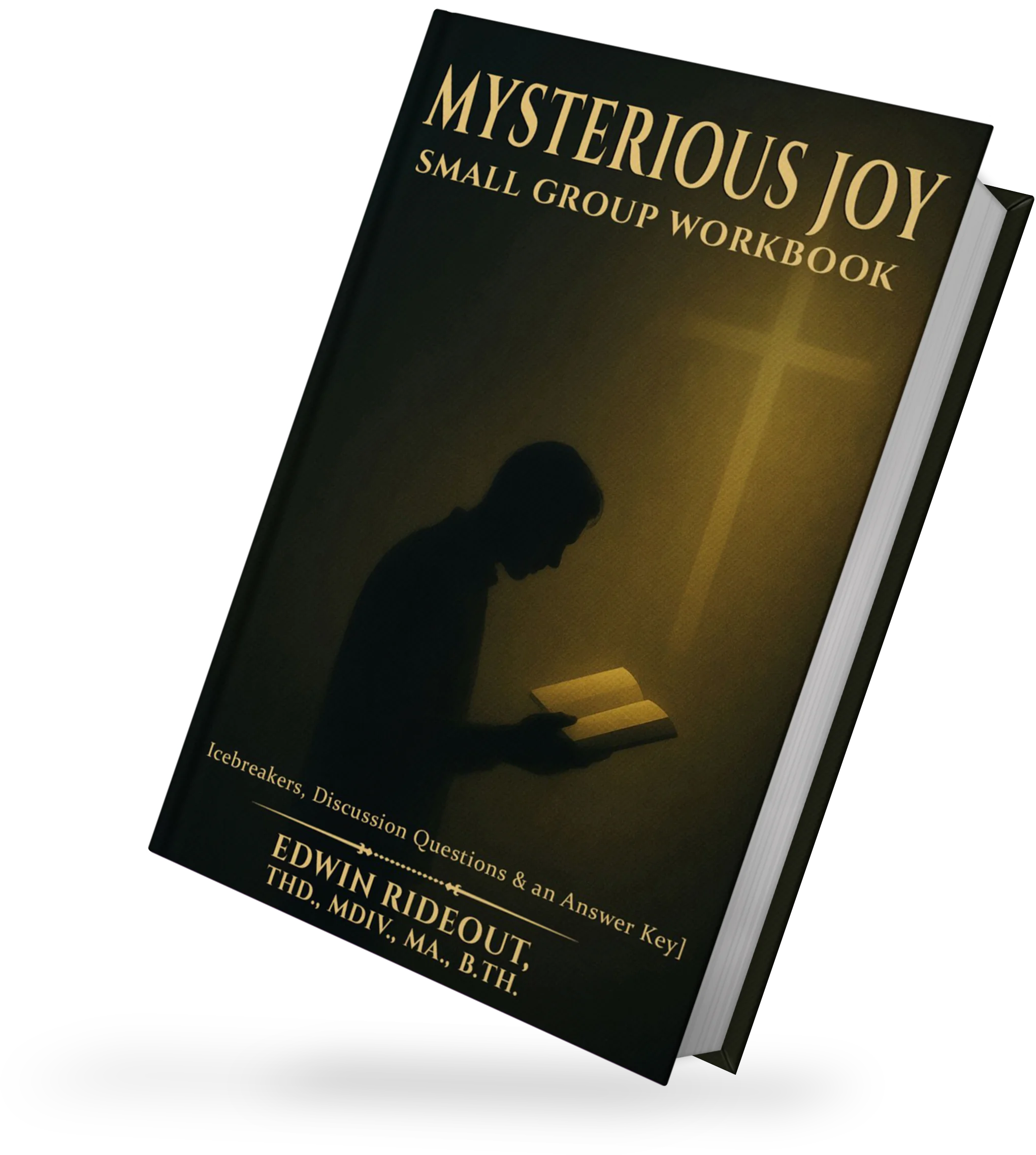Mysterious Joy: Small Group Workbook