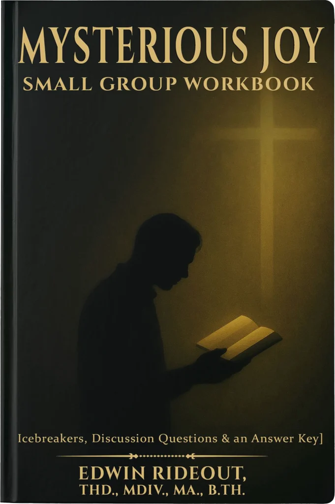 mysterous joy WORKBOOK