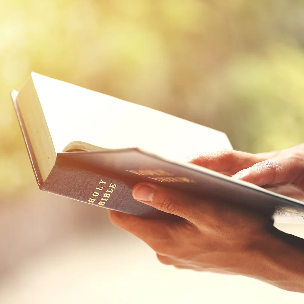 bible study guide