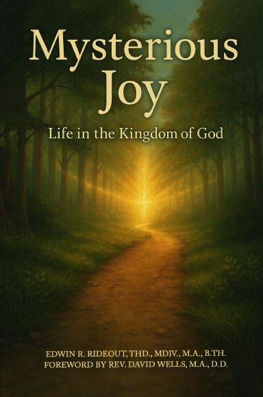 MYSTERIOUS JOY Hardcover