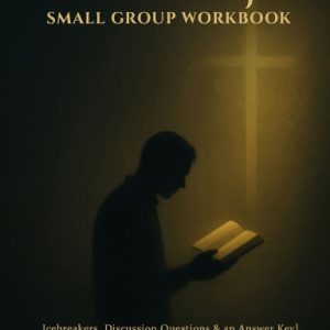 MYSTERIOUS JOY WORKBOOK Hardcover