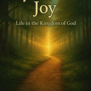 MYSTERIOUS JOY Paperback