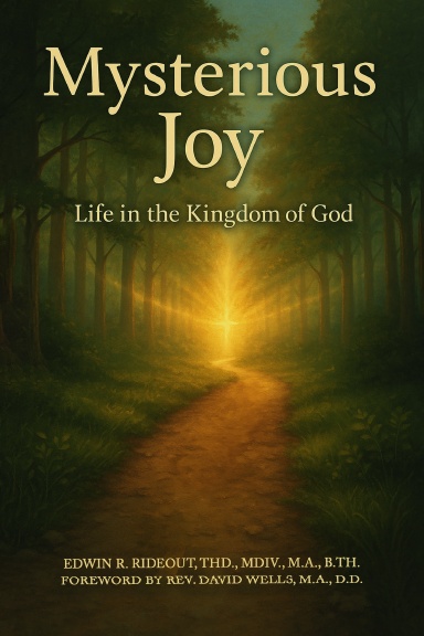 MYSTERIOUS JOY Paperback